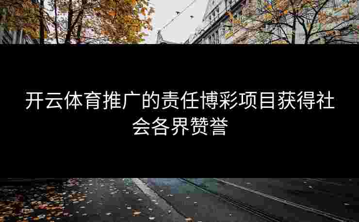 开云体育推广的责任博彩项目获得社会各界赞誉