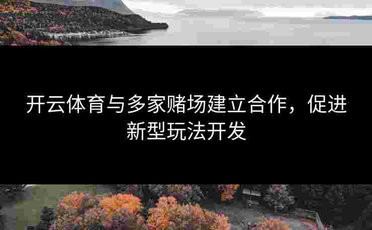 开云体育与多家赌场建立合作，促进新型玩法开发