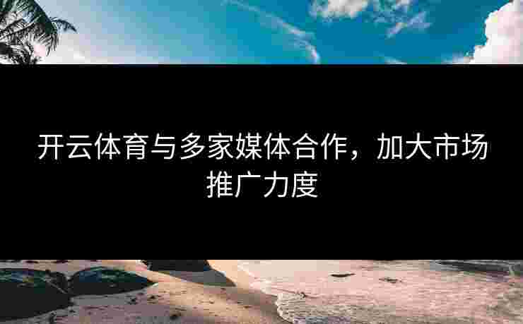 开云体育与多家媒体合作，加大市场推广力度